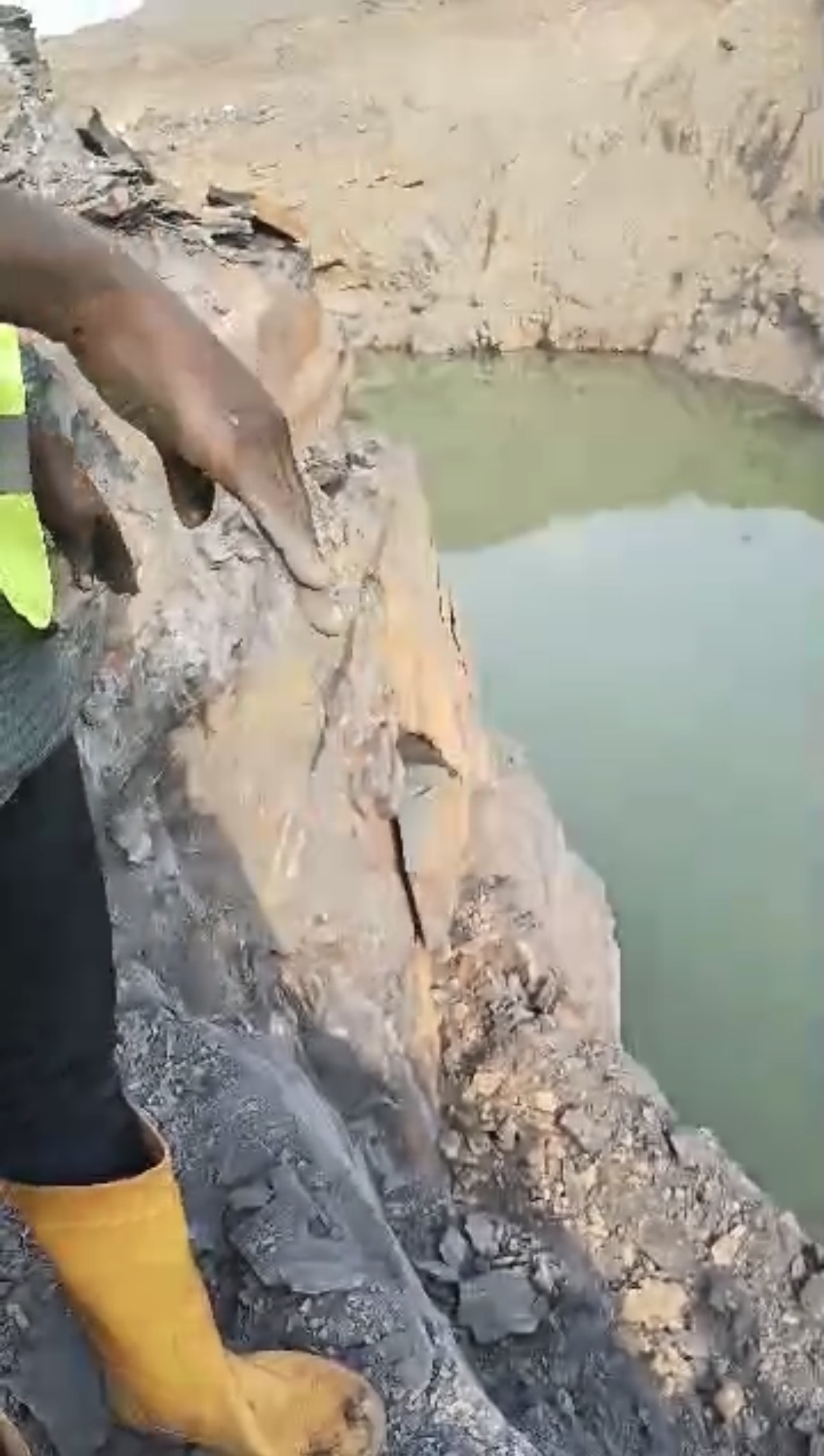 Environmental Responsibility and Sustainability